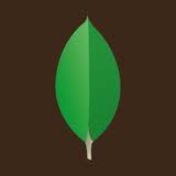 MongoDB Leaf
