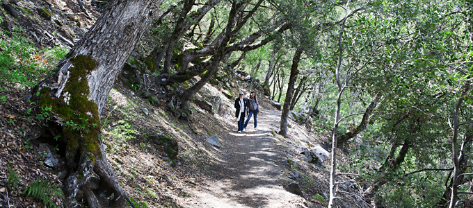 The Four-Mile Trail starts off like this