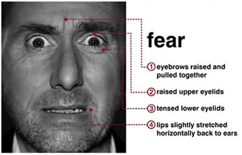 Microexpressions - Fear