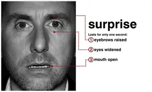 Microexpressions - Surprise
