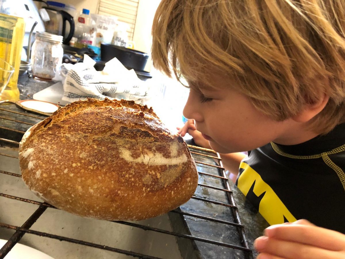 The Ultimate Quarantine Sourdough Bread Baking Guide